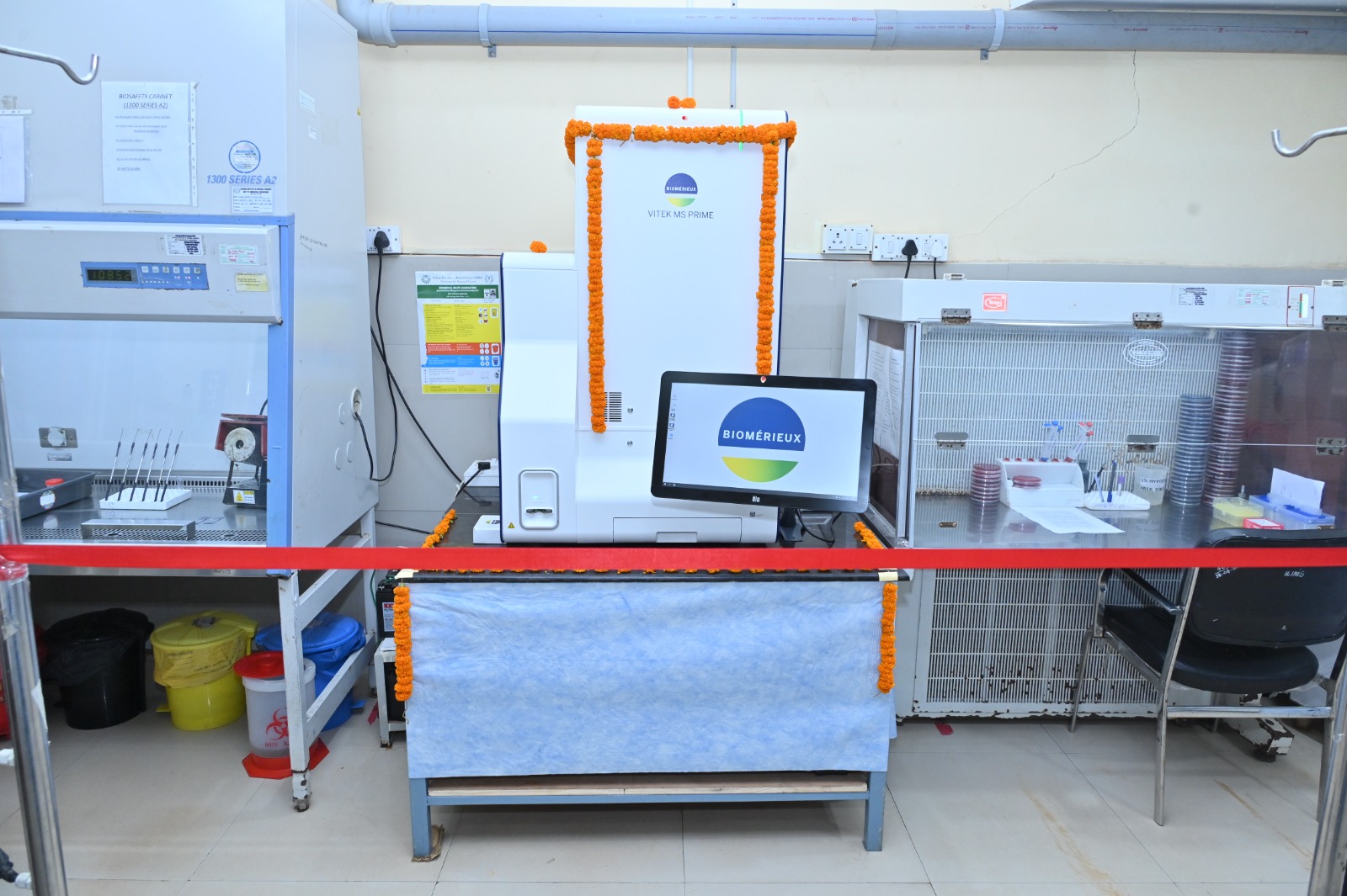 WhatsApp Image 2025-08-05 at 6.47.04 PM