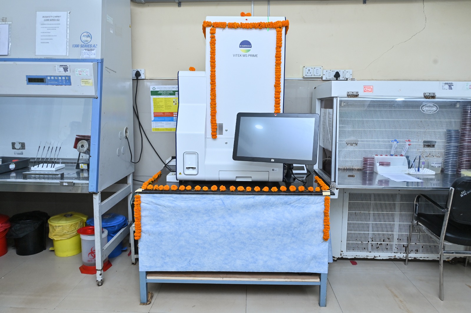 WhatsApp Image 2025-08-05 at 6.47.05 PM